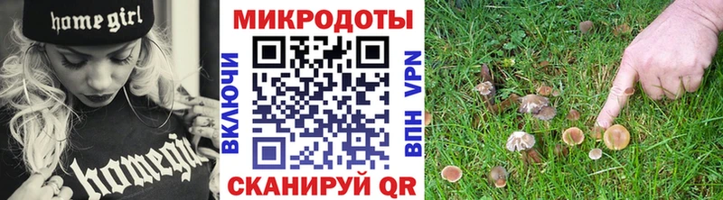 Галлюциногенные грибы Cubensis  продажа наркотиков  Дмитровск 