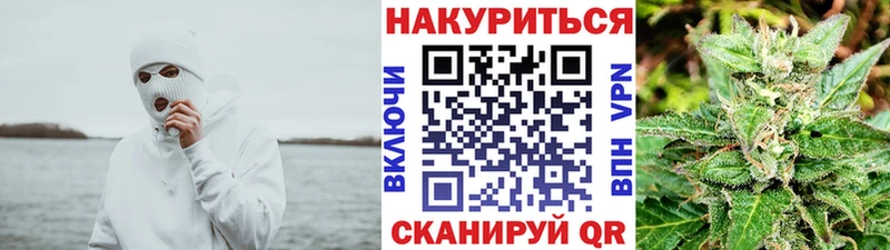 купить наркоту  Дмитровск  Бошки марихуана сатива 